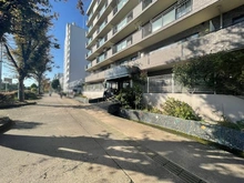 【神奈川県/横浜市磯子区磯子】磯子パインプロムナード アプローチ