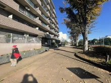 【神奈川県/横浜市磯子区磯子】磯子パインプロムナード アプローチ