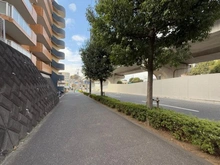 【神奈川県/横浜市港南区笹下】ホーユウパレス笹下 前面道路