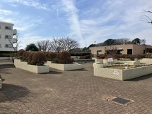 【神奈川県/横浜市港南区港南台】エンゼルハイム港南台 敷地内