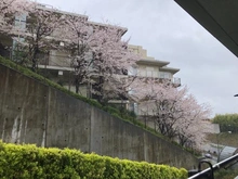 【神奈川県/川崎市宮前区鷺沼】ローレルコート鷺沼 眺望：バルコニーから