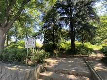 【神奈川県/川崎市宮前区鷺沼】ローレルコート鷺沼  鷺沼公園（現地より約790m）