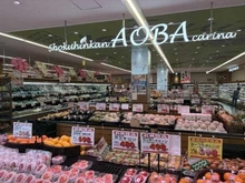 【神奈川県/川崎市宮前区鷺沼】セザール第五鷺沼 食品館あおば　鷺沼店（現地より約276m）