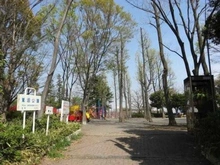 【神奈川県/川崎市宮前区鷺沼】セザール第五鷺沼  鷺沼公園（現地より約590m）