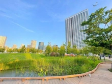 【東京都/港区芝浦】芝浦アイランドケープタワー  港区立芝浦中央公園（現地より約860m）