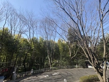 【神奈川県/横浜市都筑区茅ケ崎南】港北ファミールハイツ 10-3号棟 眺望：北側