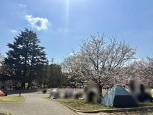 【神奈川県/横浜市青葉区美しが丘】ドレッセWISEたまプラーザ B棟  美しが丘公園（現地より約100m）：