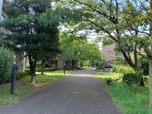 【神奈川県/横浜市都筑区大丸】グランノア港北の丘3番館 敷地内