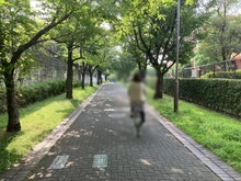 【神奈川県/横浜市都筑区大丸】グランノア港北の丘3番館 つづきふれあいの丘駅へむかう緑道（現地より約296m）：