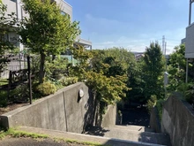【神奈川県/横浜市都筑区大丸】グランノア港北の丘 19番館 敷地内：19番間南側　階段