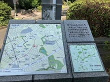 【神奈川県/横浜市都筑区大丸】グランノア港北の丘 19番館  ゆうばえのみち（現地より約200m）：
