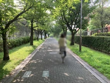 【神奈川県/横浜市都筑区大丸】グランノア港北の丘 19番館 都筑ふれあいの丘駅へむかう緑道（現地より約220m）：