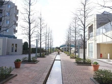【神奈川県/横浜市都筑区北山田】ララヒルズ7番街 敷地内