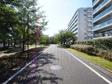 【東京都/調布市菊野台】パークハウスザガーデン イーストハウス 前面道路