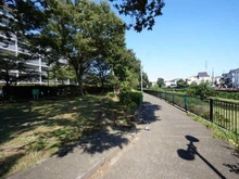 【東京都/調布市菊野台】パークハウスザガーデン イーストハウス 前面道路