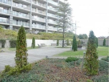 【神奈川県/横浜市都筑区高山】タンタタウン 9番街 敷地内