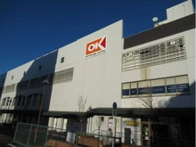 【神奈川県/横浜市都筑区高山】タンタタウン 9番街 オーケーストア港北店（現地より約310m）