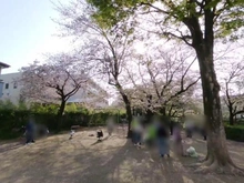 【東京都/小金井市前原町】ライオンズガーデン小金井南 野川緑地公園（現地より約570m）