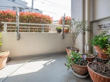 【東京都/中野区白鷺】レジデンシャル鷺ノ宮 バルコニー：南東向き