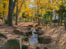 【東京都/世田谷区駒沢】リストレジデンス桜新町 駒沢緑泉公園（現地より約390m）