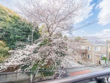 【東京都/世田谷区深沢】エクレールガーデン深沢 眺望：全面の桜が部屋を明るく照らします。
（※季節、天候による）