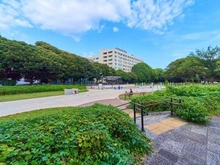 【東京都/世田谷区深沢】エクレールガーデン深沢 駒沢オリンピック公園（現地より約450m）