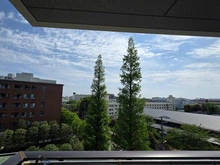 【東京都/世田谷区弦巻】プラウド弦巻 眺望：南向き・バルコニーから