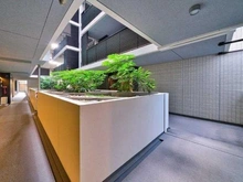 【東京都/世田谷区弦巻】プラウド弦巻 共用部