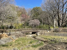 【東京都/世田谷区瀬田】パークホームズ二子玉川彩翠邸 区立岡本公園民家園（現地より約480m）