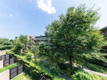 【東京都/世田谷区中町】ブランズシティ世田谷中町 エミネントフォレスト 眺望