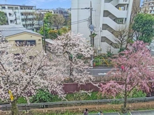 【東京都/世田谷区用賀】ヒルズ用賀 TOKYO U CITY 眺望