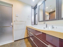 【東京都/世田谷区上野毛】上野毛シティハウス　ノーステラス 洗面室：パナソニックLクラス