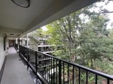 【東京都/世田谷区瀬田】シャンボール瀬田 共用部