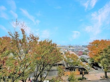 【東京都/杉並区阿佐谷北】ライオンズマンション阿佐ヶ谷中杉通り 眺望