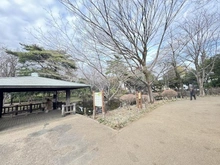 【東京都/杉並区井草】リーフィアレジデンス杉並井草森公園 井草森公園（現地より約40m）