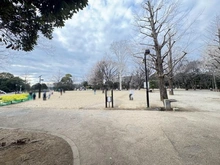 【東京都/杉並区井草】リーフィアレジデンス杉並井草森公園 井草森公園（現地より約40m）