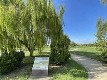 【東京都/足立区新田】オーベルグランディオハートアイランド 新田わくわく水辺広場公園（現地より約500m）