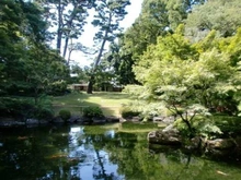 【東京都/杉並区荻窪】プラウド荻窪五丁目 大田黒公園（現地より約680m）：