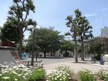 【東京都/豊島区南長崎】ライオンズマンション南長崎 区立南長崎花咲公園（現地より約220m）：