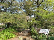 【東京都/小平市仲町】ハイホーム小平 あじさい公園（現地より約500m）