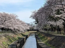 【東京都/杉並区成田東】プラウドシティ阿佐ヶ谷セントラル 善福寺川緑地公園（現地より約1,181m）