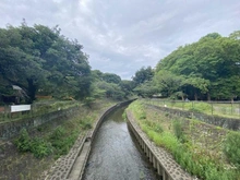 【東京都/杉並区成田西】Lフォレスト杉並 善福寺川緑地（現地より約10m）：