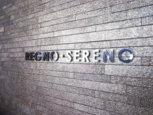 【東京都/新宿区北新宿】レグノ・セレーノ マンション表札