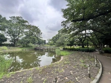 【東京都/品川区豊町】パーク・ハイム戸越三井坂 文庫の森公園（現地より約113m）