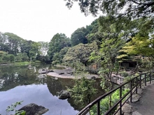 【東京都/品川区豊町】パーク・ハイム戸越三井坂 戸越公園（現地より約292m）