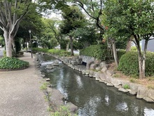 【東京都/江戸川区西小松川町】レクセルガーデン船堀 小松川境川親水公園（現地より約240m）
