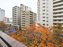 【東京都/練馬区中村北】オリエンタルグリーンコーポラス 眺望