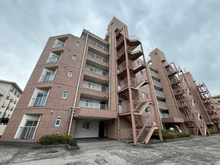 【神奈川県/川崎市中原区今井上町】武蔵小杉ニューライフ 外観