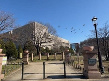 【東京都/練馬区練馬】ライオンズステーションプラザ練馬 練馬区立平成つつじ公園（現地より約130m）