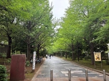 【東京都/練馬区光が丘】パークサイド光が丘 夏の雲公園（現地より約260m）